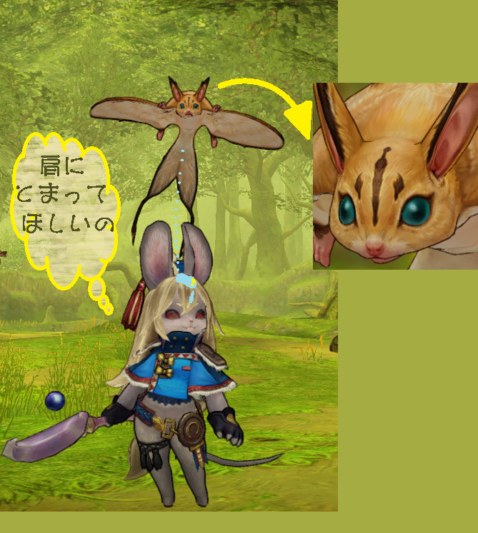 キツネリスを肩に乗せたかったあのころの夢 Caravan Stories キャラバンストーリーズ マスターズサイト