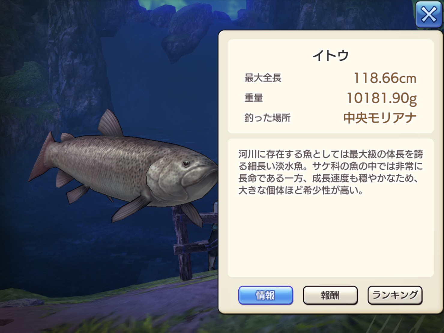 モリアナ釣りコンプリート ᵕ Caravan Stories キャラバンストーリーズ マスターズサイト