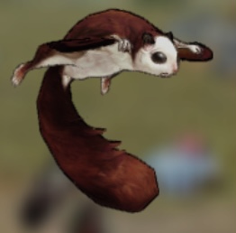 ムササビ Caravan Stories キャラバンストーリーズ マスターズサイト