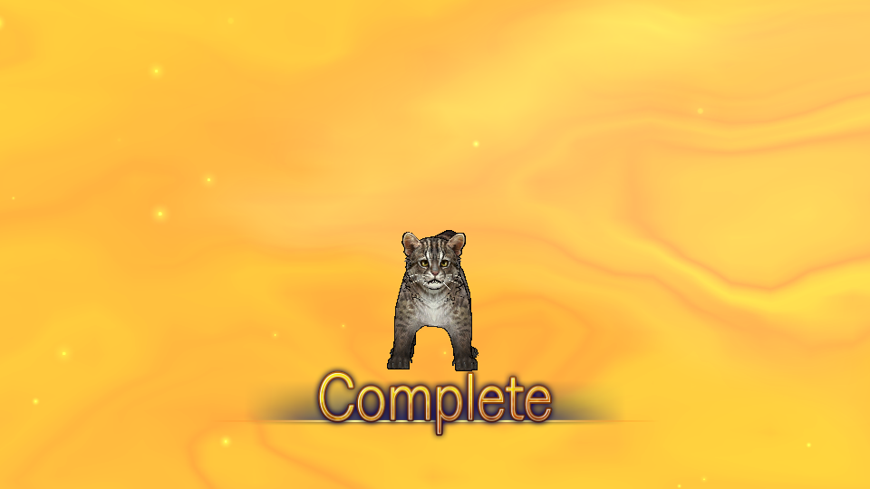 イエ島中央 ヤマピカリャー進化 Caravan Stories キャラバンストーリーズ マスターズサイト