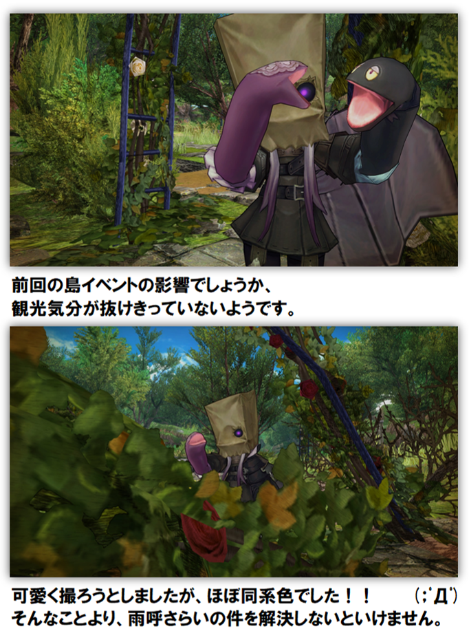 ミケちゃんもかわいいですが、、、 ~ミケのあめふらしより~ | CARAVAN STORIES (キャラバンストーリーズ) マスターズサイト